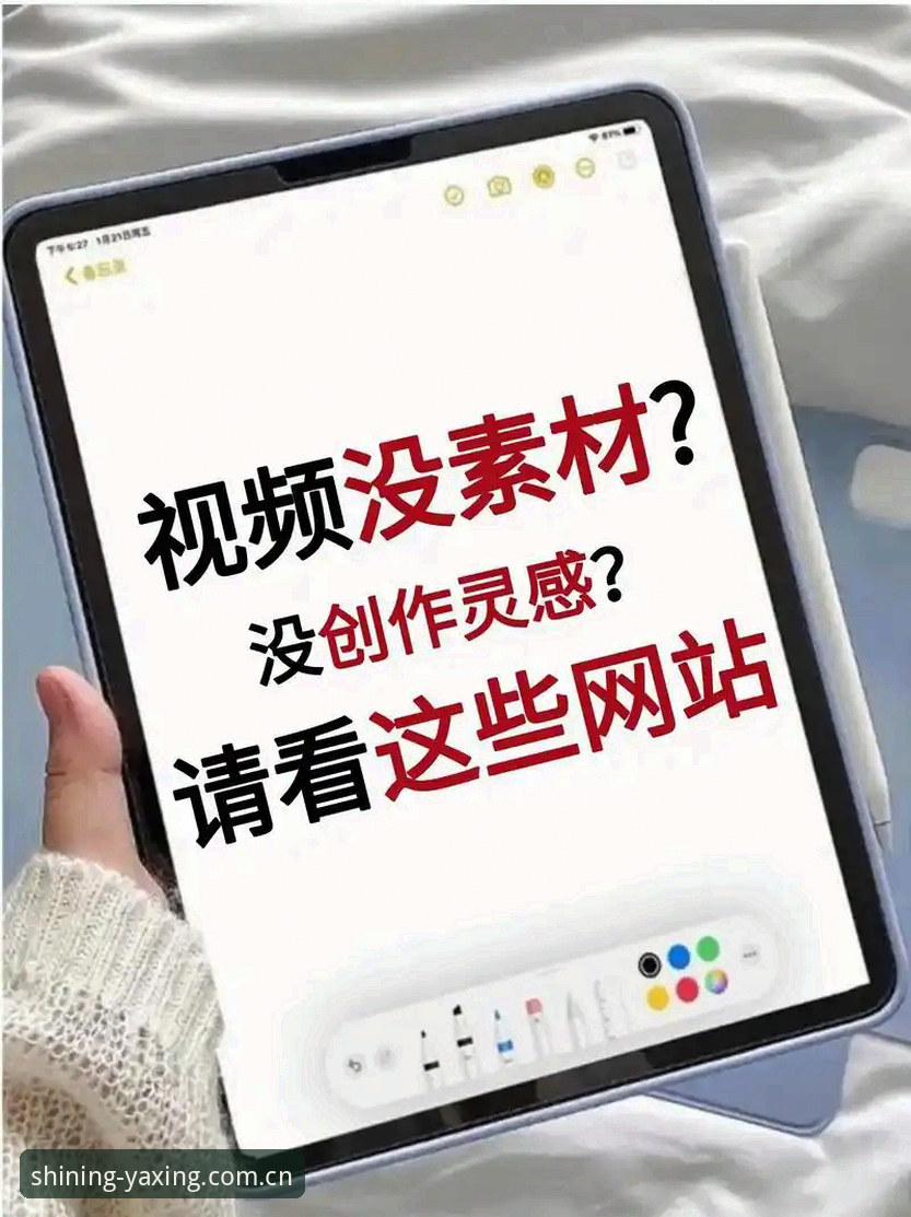 新手必看：亚星YAXING平台地址攻略实战心得，资深用户手把手教你避坑